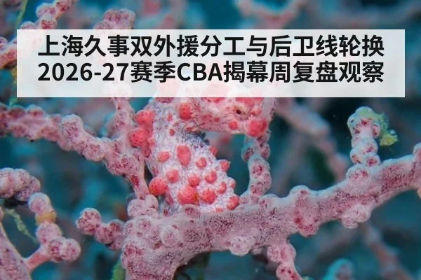 上海久事双外援分工与后卫线轮换 2026-27赛季CBA揭幕周复盘观察